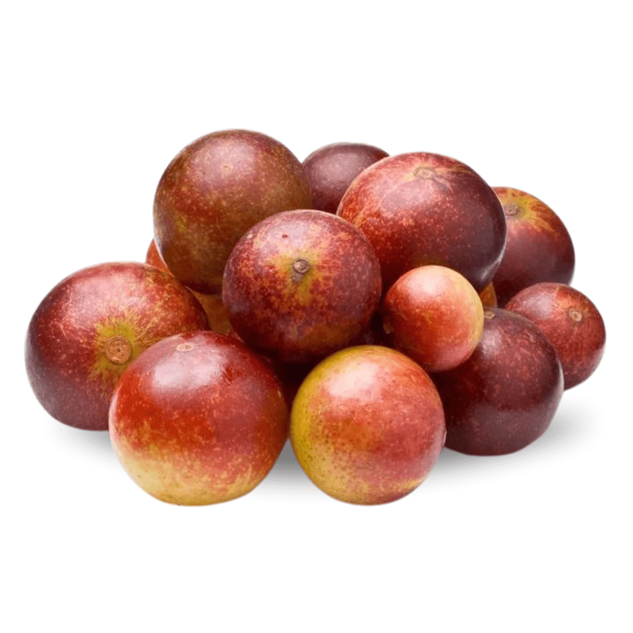 Camu Camu Ingredient