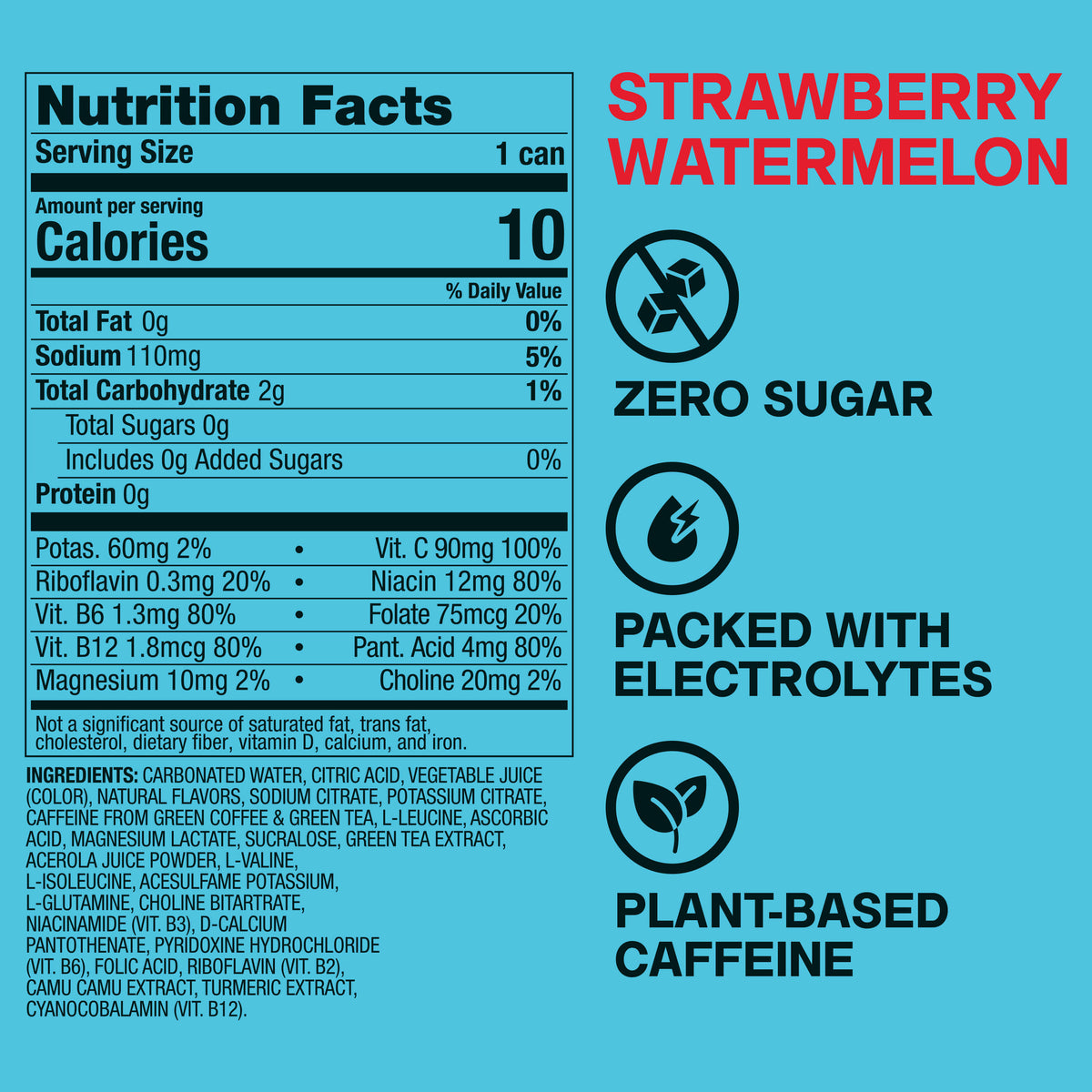 Strawberry Watermelon 12oz